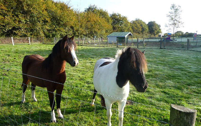 Le Clos du Moulin Das Loire-Gebiet - La Bernerie-en-Retz visuel 11/14