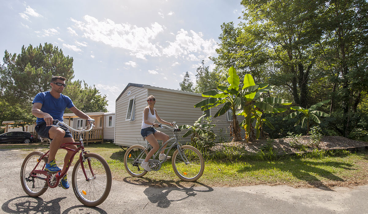 Le Col Vert Aquitanien - Vielle-Saint-Girons visuel 11/26