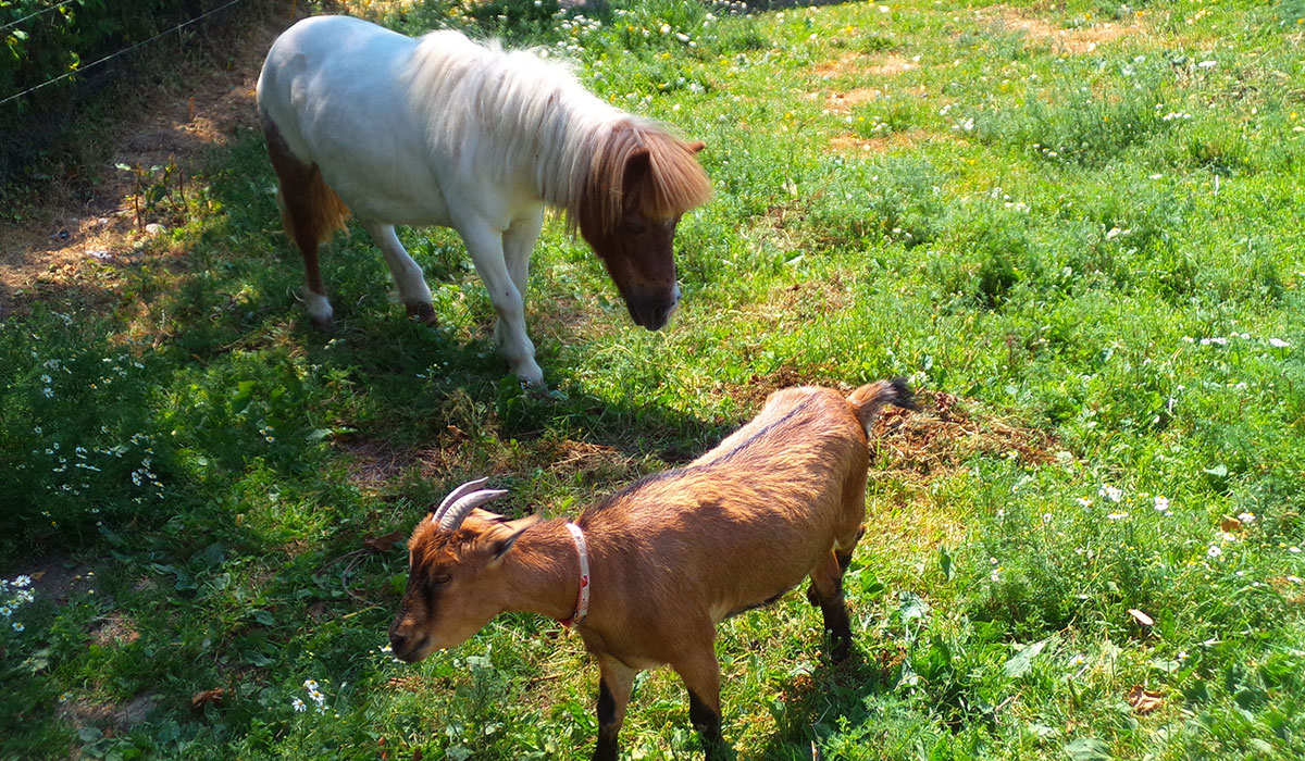Le Creulet Basse-Normandie - Crouay visuel 2/3 Le Creulet Basse-Normandie - Crouay visuel 2/3