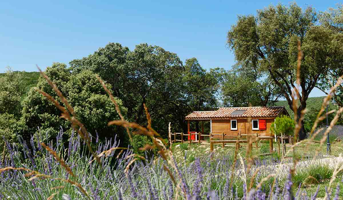 Domaine de Sévenier et Spa Rhône-Alpen - Lagorce visuel 13/16