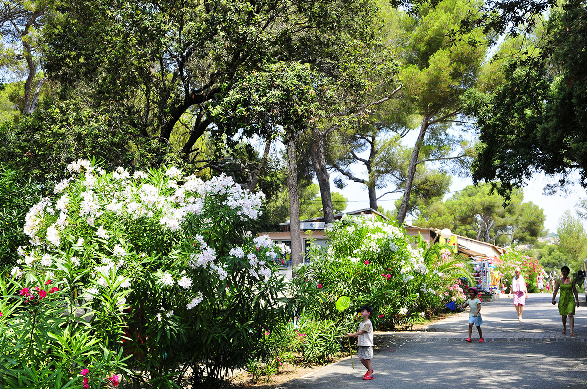 La Plage du Dramont Provence-Alpes-Côte d'Azur - Agay visuel 12/12
