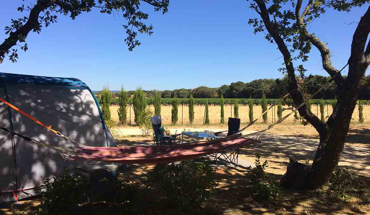 Le Garrigon Provence-Alpes-Côte d'Azur - Grillon visuel 9/14