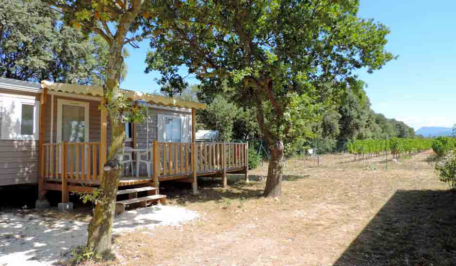 Le Garrigon Provence-Alpes-Côte d'Azur - Grillon visuel 6/14