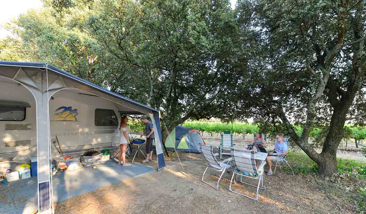 Le Garrigon Provence-Alpes-Côte d'Azur - Grillon visuel 12/14