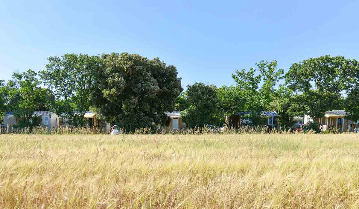 Le Garrigon Provence-Alpes-Côte d'Azur - Grillon visuel 10/14