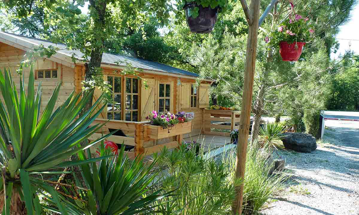 Le Jas du Moine Provence-Alpes-Côte d'Azur - Salignac visuel 8/12