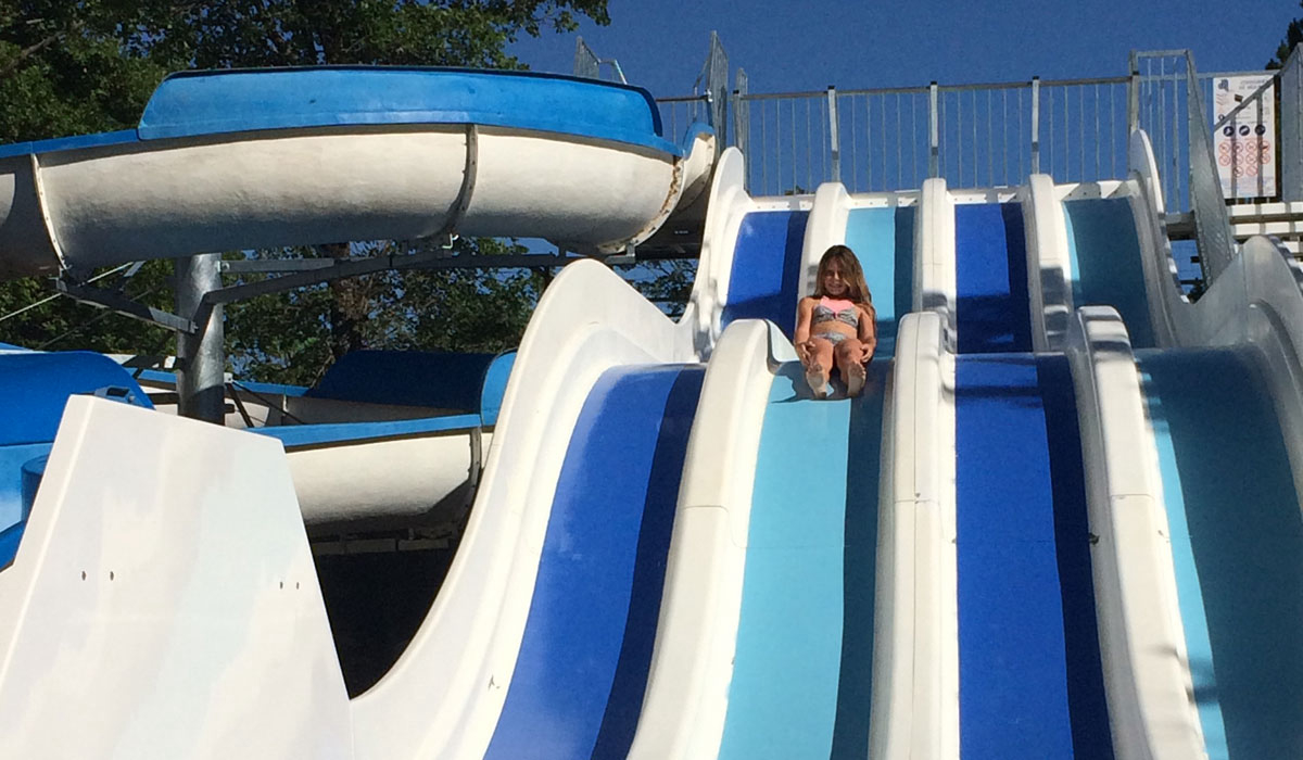 Le Jas du Moine Provence-Alpes-Côte d'Azur - Salignac visuel 3/12