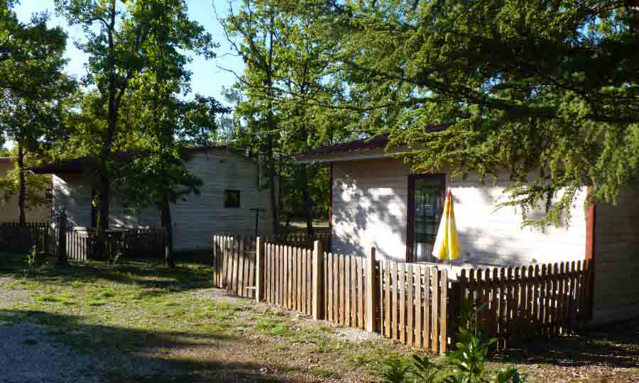 Le Jas du Moine Provence-Alpes-Côte d'Azur - Salignac visuel 11/12