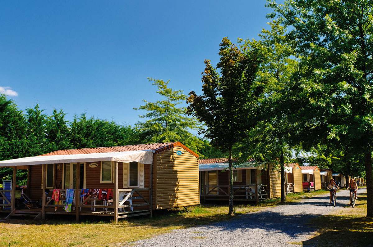 Le Lac de Sanguinet Aquitanien - Sanguinet visuel 9/11