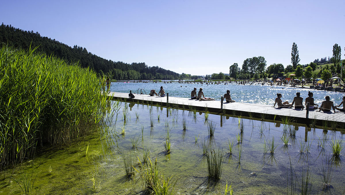 Le Lac des Sapins Rhône-Alpen - Cublize visuel 2/14 Le Lac des Sapins Rhône-Alpen - Cublize visuel 2/14