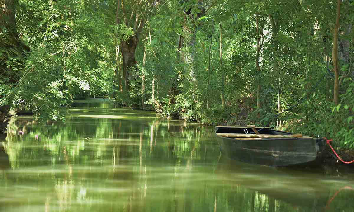 Le Lidon Poitou-Charentes - Saint-Hilaire-la-Palud visuel 2/20