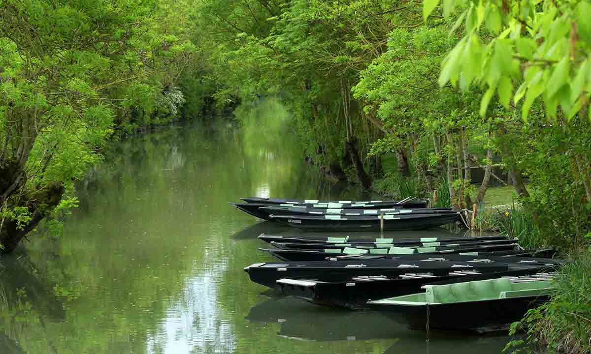 Le Lidon Poitou-Charentes - Saint-Hilaire-la-Palud visuel 20/20