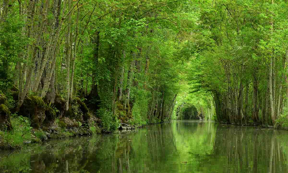Le Lidon Poitou-Charentes - Saint-Hilaire-la-Palud visuel 6/20