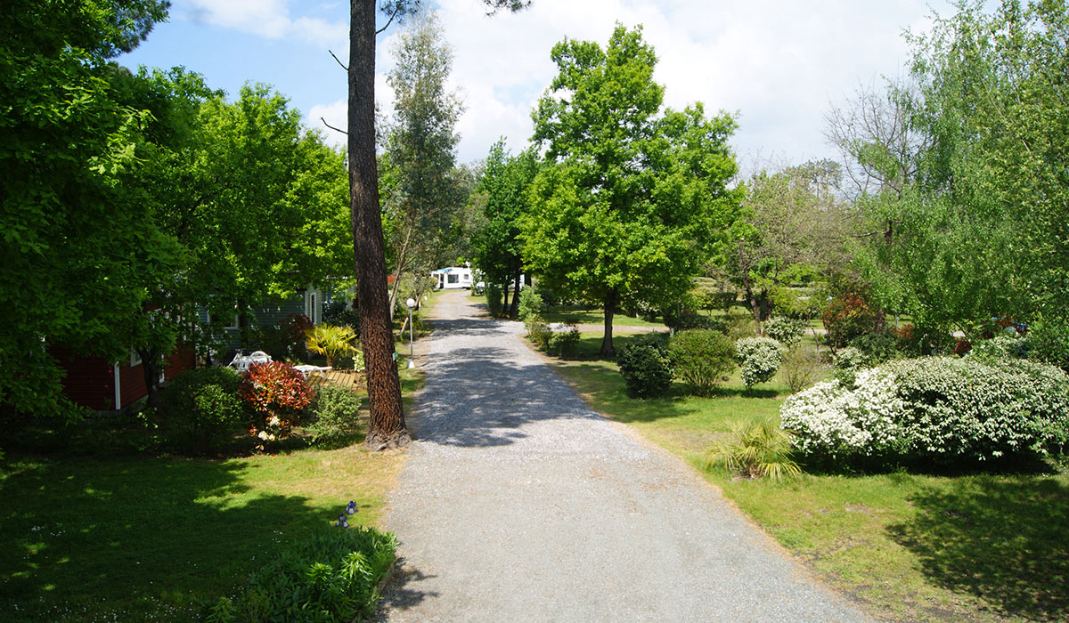 Le Marache Aquitanien - Biganos visuel 2/4