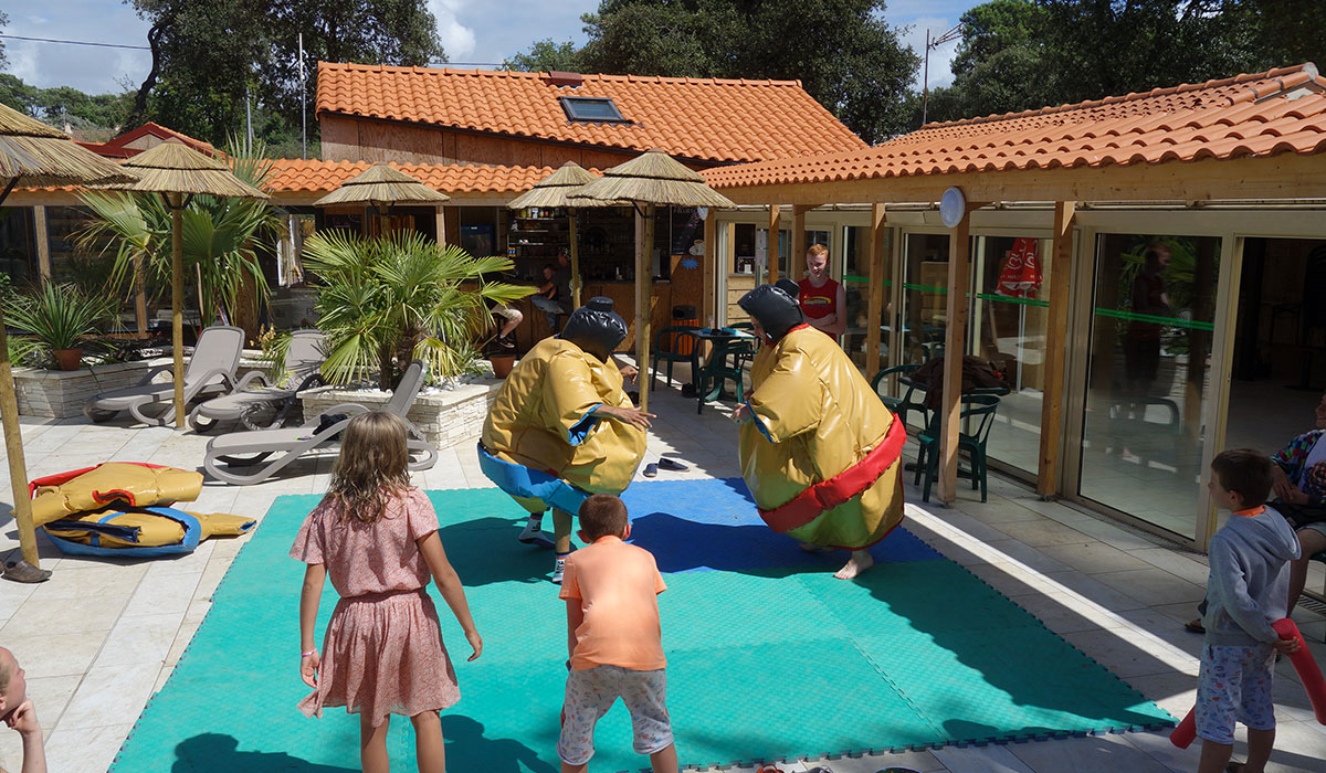 Le Mindin Das Loire-Gebiet - Saint-Brévin-les-Pins visuel 16/21