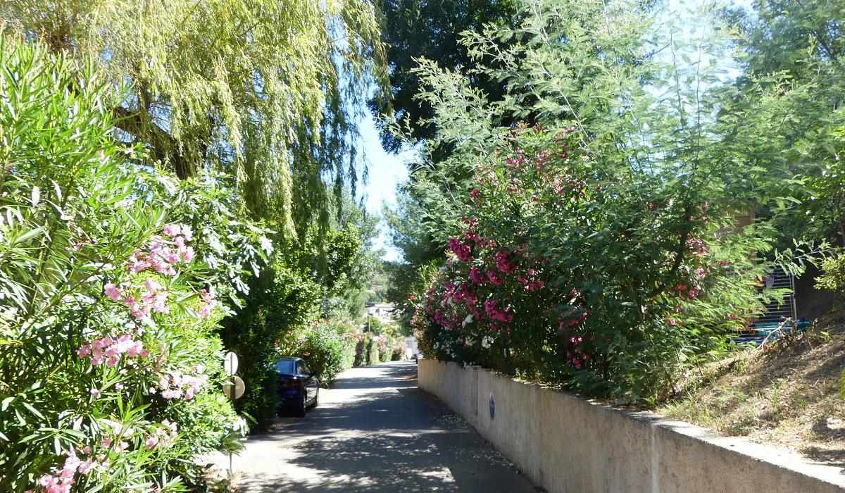 Le Parc des Monges Provence-Alpes-Côte d'Azur - Auribeau-sur-Siagne visuel 12/27