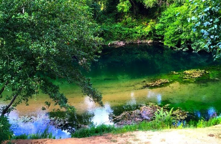 Le Parc des Monges Provence-Alpes-Côte d'Azur - Auribeau-sur-Siagne visuel 24/27