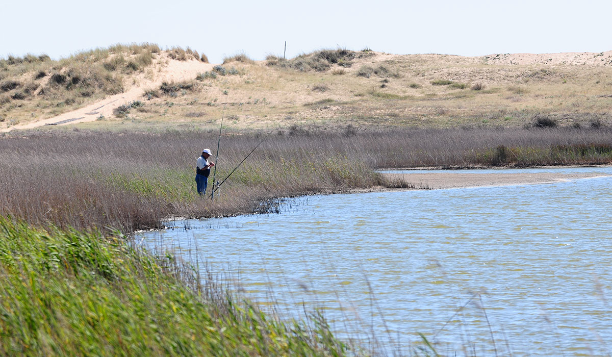 Le Pavillon Bleu Das Loire-Gebiet - La Faute-sur-Mer visuel 19/19 Le Pavillon Bleu Das Loire-Gebiet - La Faute-sur-Mer visuel 19/19