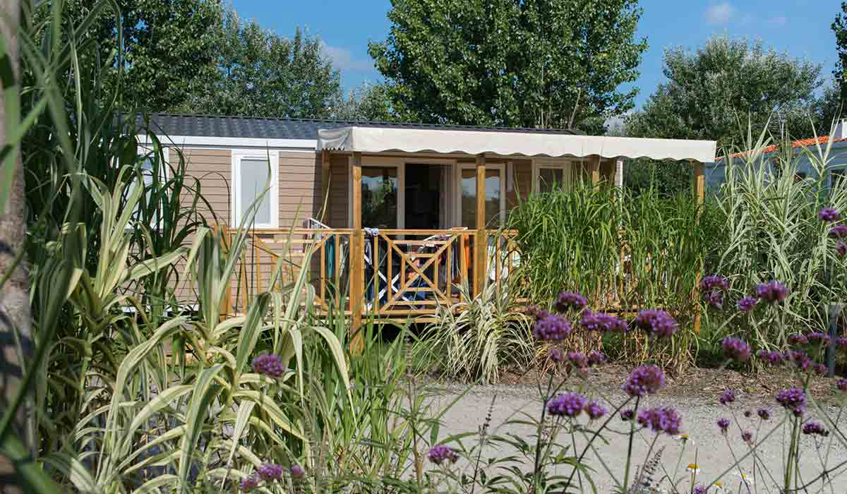 Le Petit Paris Das Loire-Gebiet - Château-d'Olonne visuel 7/25