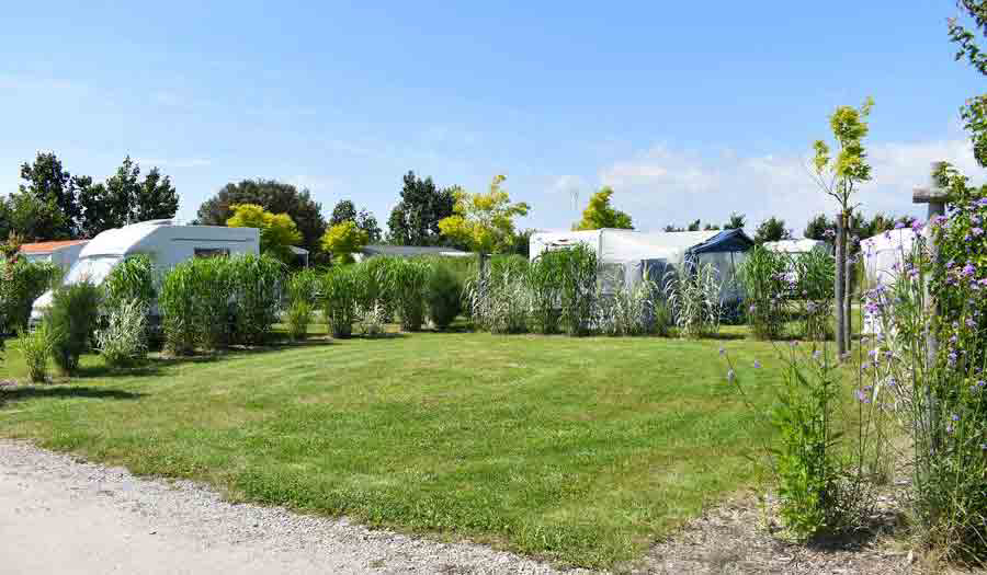 Le Petit Paris Das Loire-Gebiet - Château-d'Olonne visuel 8/25