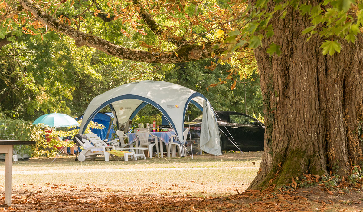 Le Petit Trianon Poitou-Charentes - Ingrandes visuel 18/18 Le Petit Trianon Poitou-Charentes - Ingrandes visuel 18/18