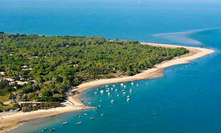 Le Phare Poitou-Charentes - Les Portes en Ré visuel 4/8