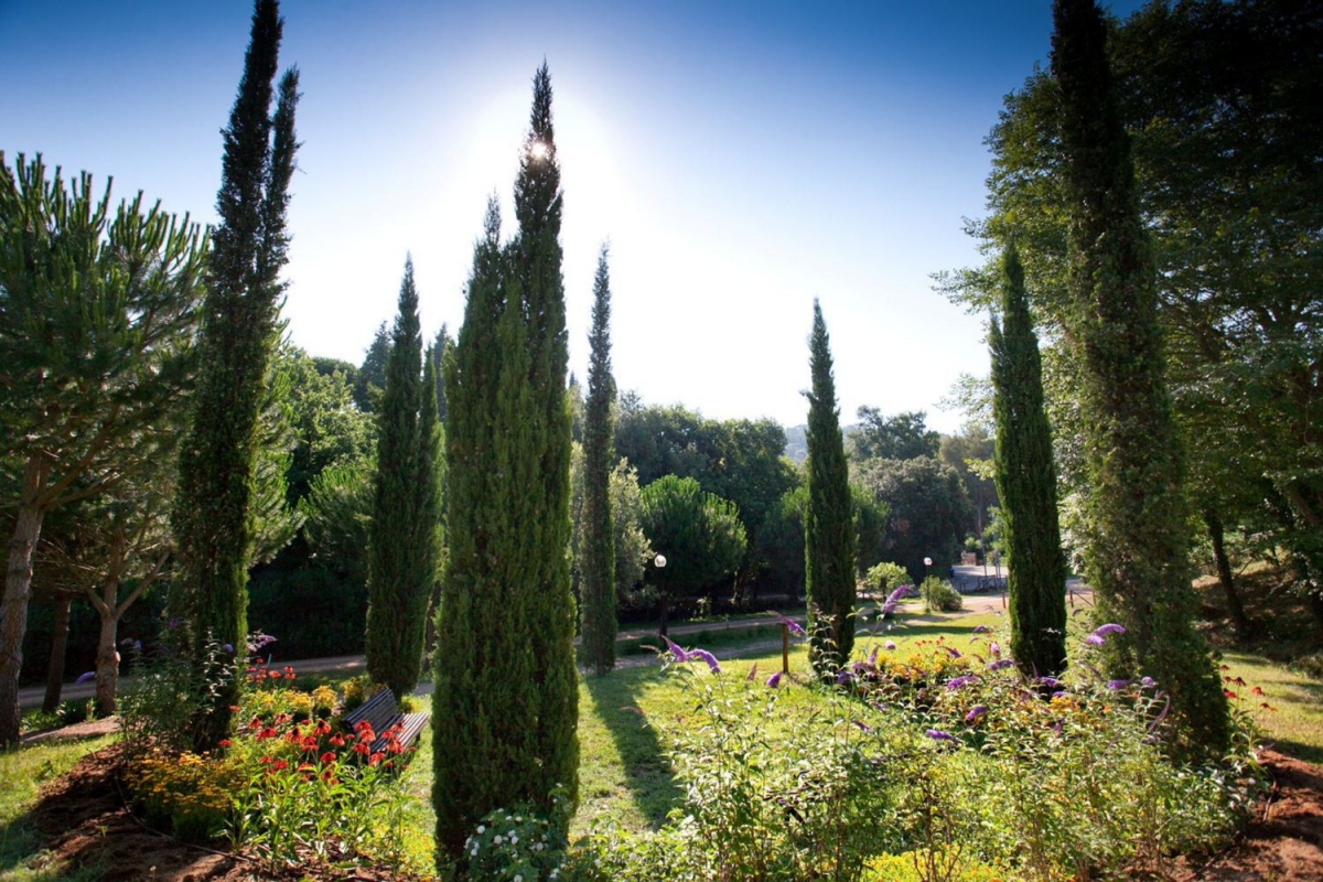 Le Pianacce Toskana - Castagneto Carducci visuel 7/13