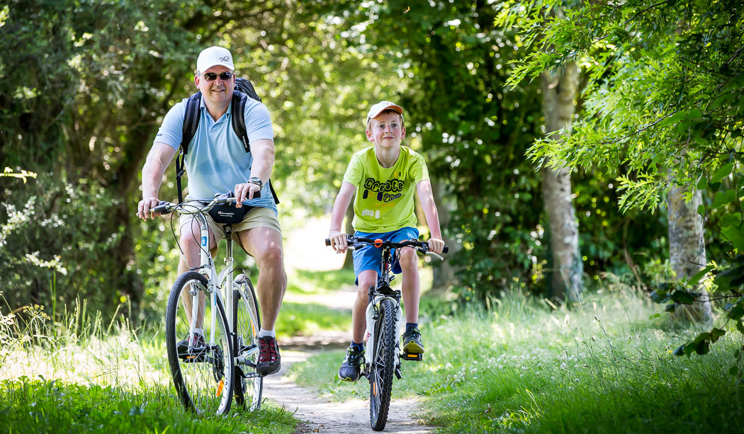 Le Pin Parasol Das Loire-Gebiet - La Chapelle Hermier visuel 32/33 Le Pin Parasol Das Loire-Gebiet - La Chapelle Hermier visuel 32/33