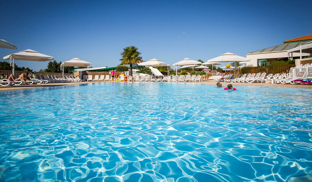 Le Pin Parasol Das Loire-Gebiet - La Chapelle Hermier visuel 2/33 Le Pin Parasol Das Loire-Gebiet - La Chapelle Hermier visuel 2/33