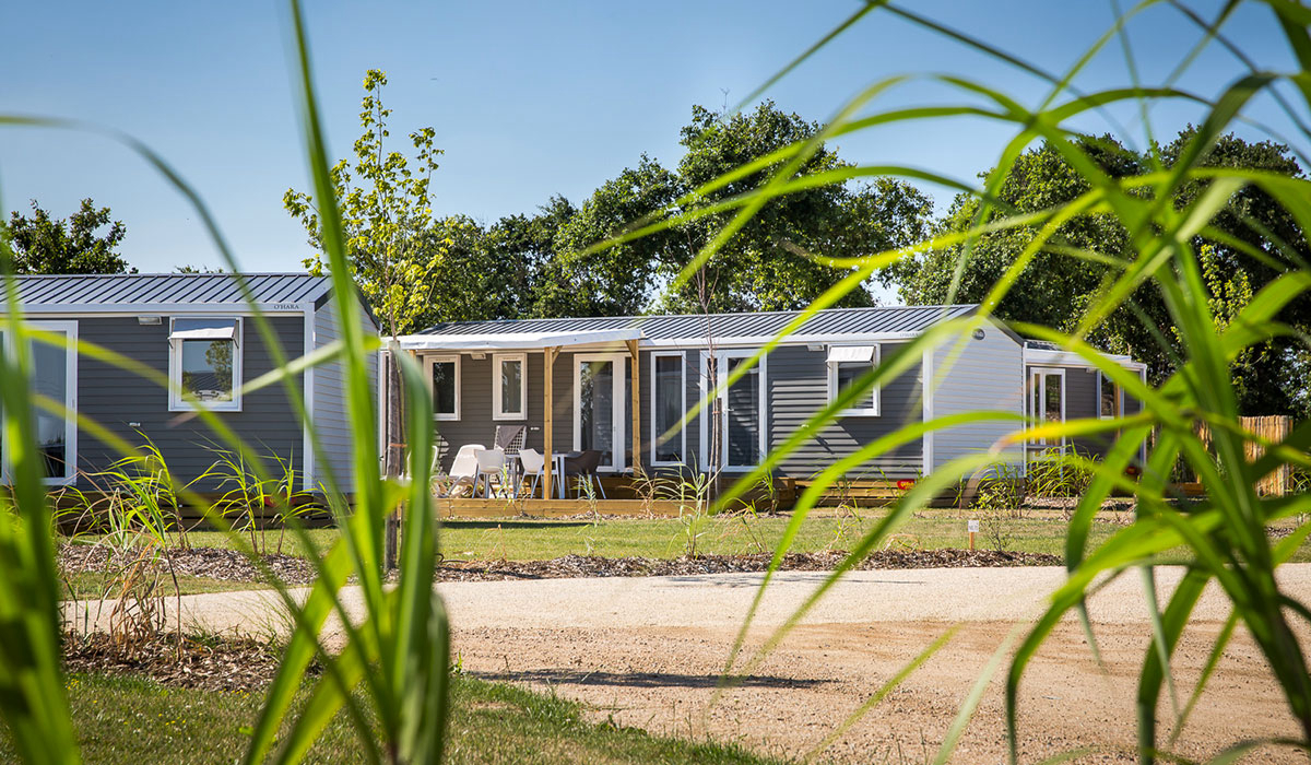 Le Pin Parasol Das Loire-Gebiet - La Chapelle Hermier visuel 31/33 Le Pin Parasol Das Loire-Gebiet - La Chapelle Hermier visuel 31/33