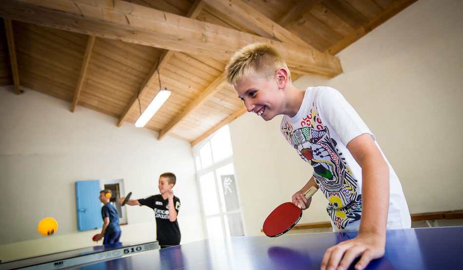 Le Pin Parasol Das Loire-Gebiet - La Chapelle Hermier visuel 16/33 Le Pin Parasol Das Loire-Gebiet - La Chapelle Hermier visuel 16/33