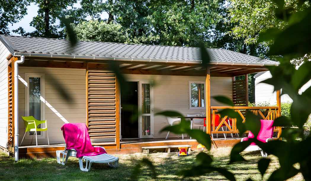 Le Pin Parasol Das Loire-Gebiet - La Chapelle Hermier visuel 19/33 Le Pin Parasol Das Loire-Gebiet - La Chapelle Hermier visuel 19/33