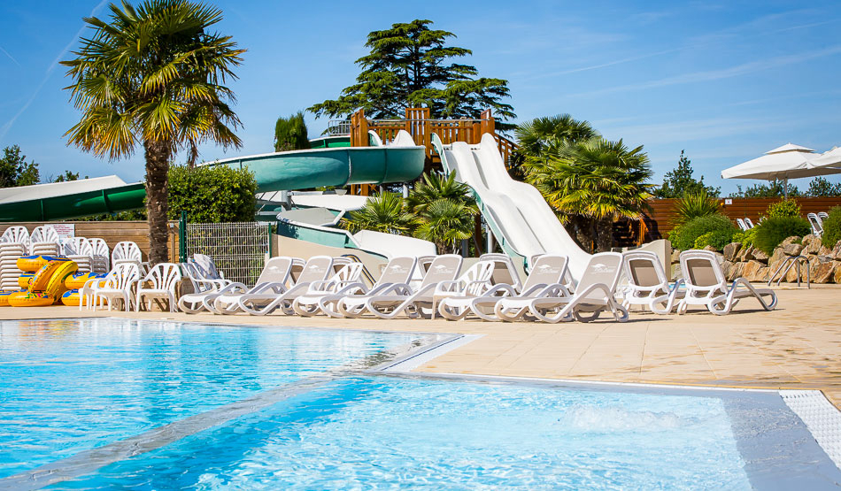 Le Pin Parasol Das Loire-Gebiet - La Chapelle Hermier visuel 3/33 Le Pin Parasol Das Loire-Gebiet - La Chapelle Hermier visuel 3/33