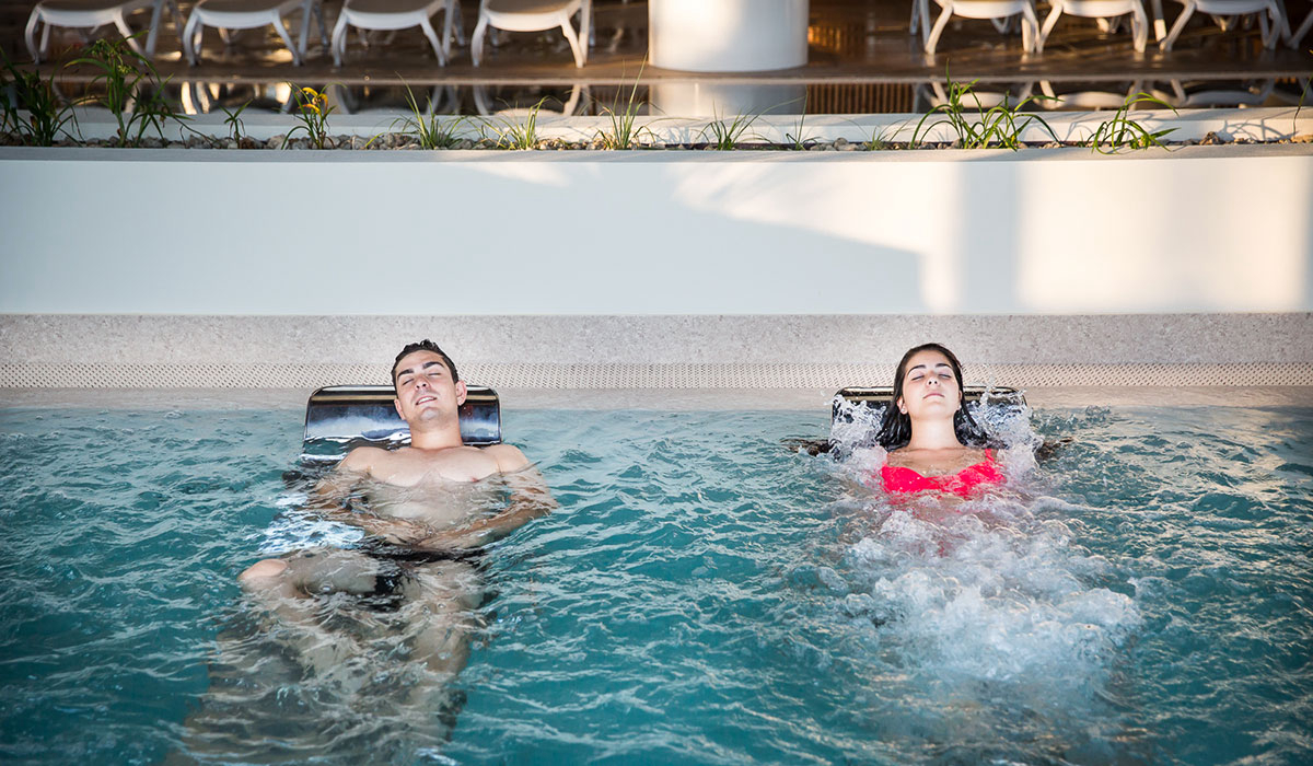 Le Pin Parasol Das Loire-Gebiet - La Chapelle Hermier visuel 11/33 Le Pin Parasol Das Loire-Gebiet - La Chapelle Hermier visuel 11/33