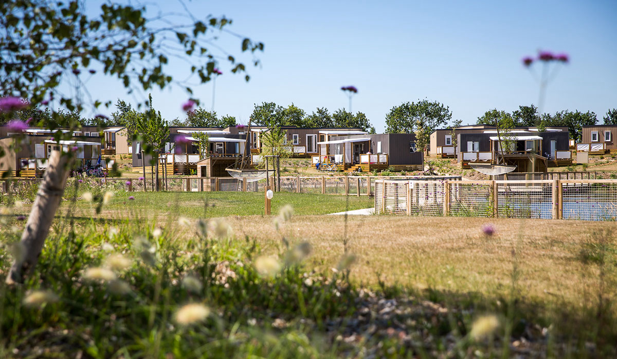 Le Pin Parasol Das Loire-Gebiet - La Chapelle Hermier visuel 10/33 Le Pin Parasol Das Loire-Gebiet - La Chapelle Hermier visuel 10/33