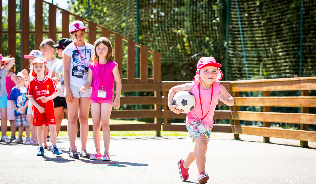 Le Pin Parasol Das Loire-Gebiet - La Chapelle Hermier visuel 25/33 Le Pin Parasol Das Loire-Gebiet - La Chapelle Hermier visuel 25/33