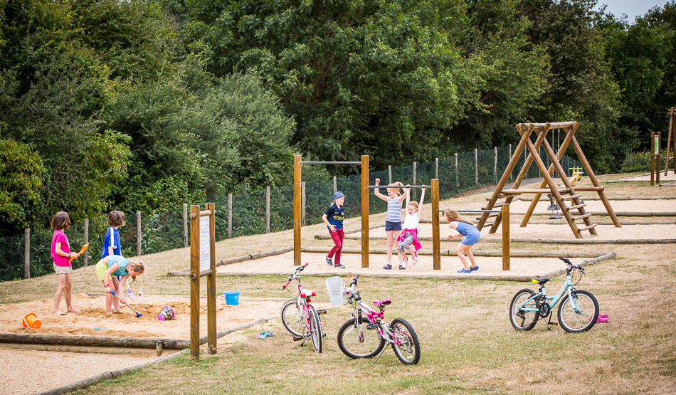 Le Pin Parasol Das Loire-Gebiet - La Chapelle Hermier visuel 17/33 Le Pin Parasol Das Loire-Gebiet - La Chapelle Hermier visuel 17/33