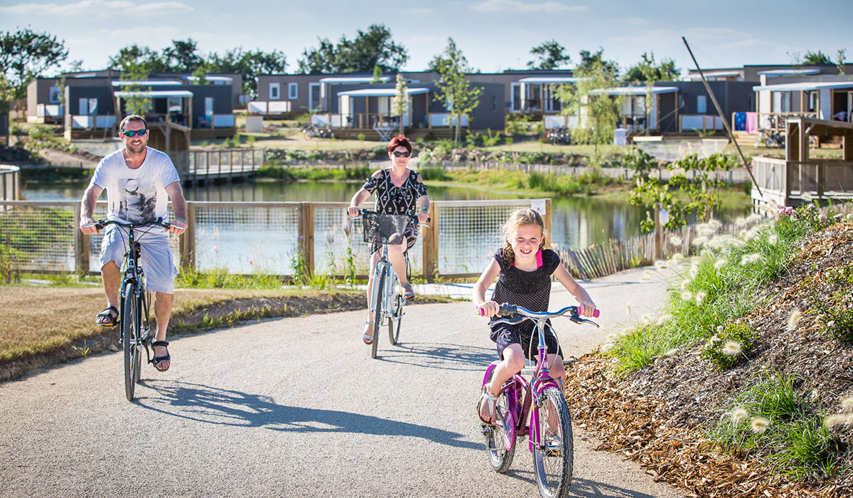Le Pin Parasol Das Loire-Gebiet - La Chapelle Hermier visuel 9/33 Le Pin Parasol Das Loire-Gebiet - La Chapelle Hermier visuel 9/33