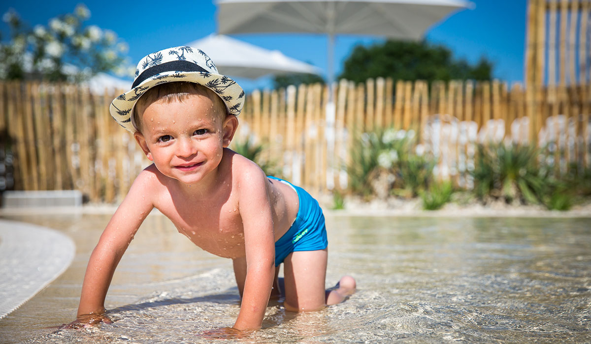 Le Pin Parasol Das Loire-Gebiet - La Chapelle Hermier visuel 12/33 Le Pin Parasol Das Loire-Gebiet - La Chapelle Hermier visuel 12/33