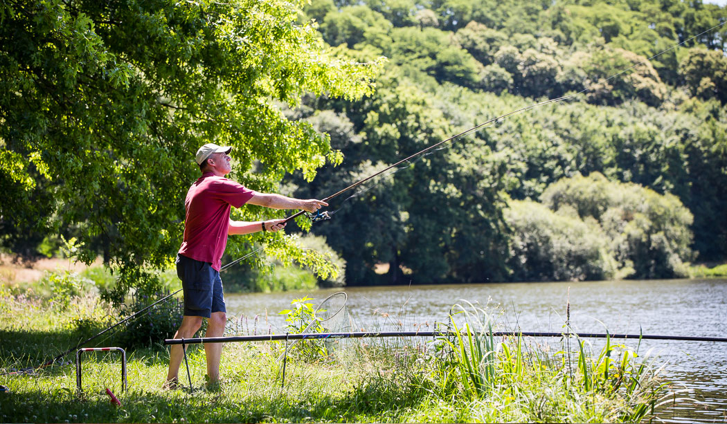 Le Pin Parasol Das Loire-Gebiet - La Chapelle Hermier visuel 21/33 Le Pin Parasol Das Loire-Gebiet - La Chapelle Hermier visuel 21/33