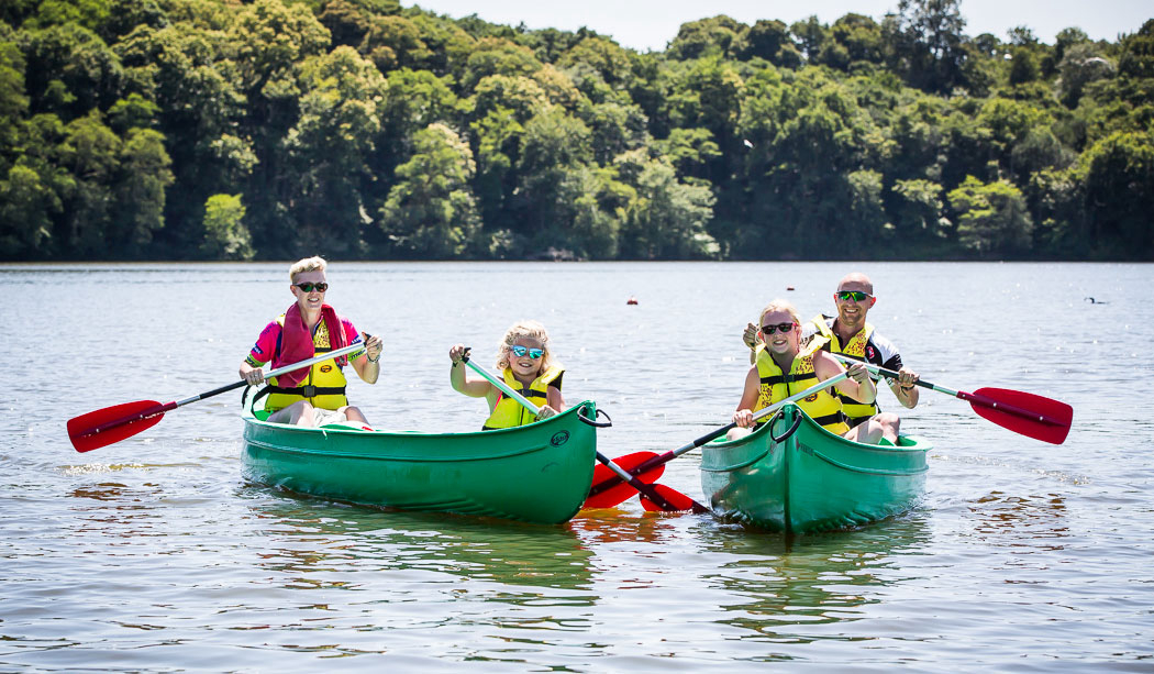Le Pin Parasol Das Loire-Gebiet - La Chapelle Hermier visuel 20/33 Le Pin Parasol Das Loire-Gebiet - La Chapelle Hermier visuel 20/33
