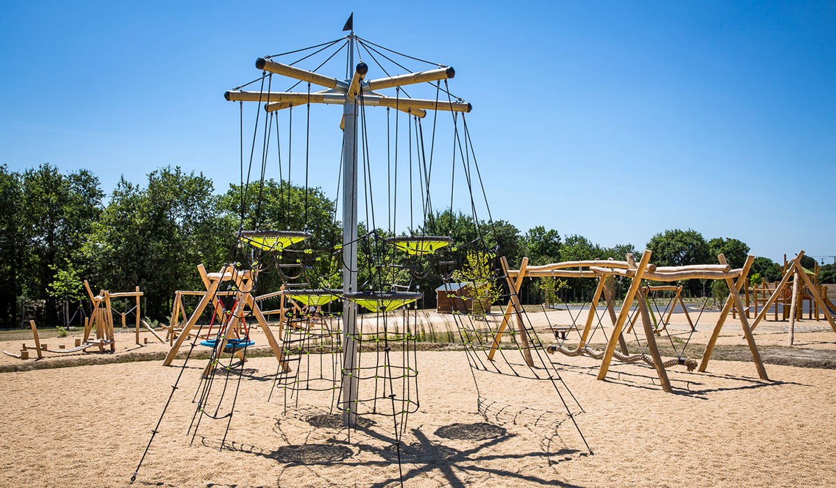 Le Pin Parasol Das Loire-Gebiet - La Chapelle Hermier visuel 8/33 Le Pin Parasol Das Loire-Gebiet - La Chapelle Hermier visuel 8/33