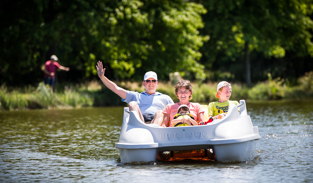 Le Pin Parasol Das Loire-Gebiet - La Chapelle Hermier visuel 22/33 Le Pin Parasol Das Loire-Gebiet - La Chapelle Hermier visuel 22/33