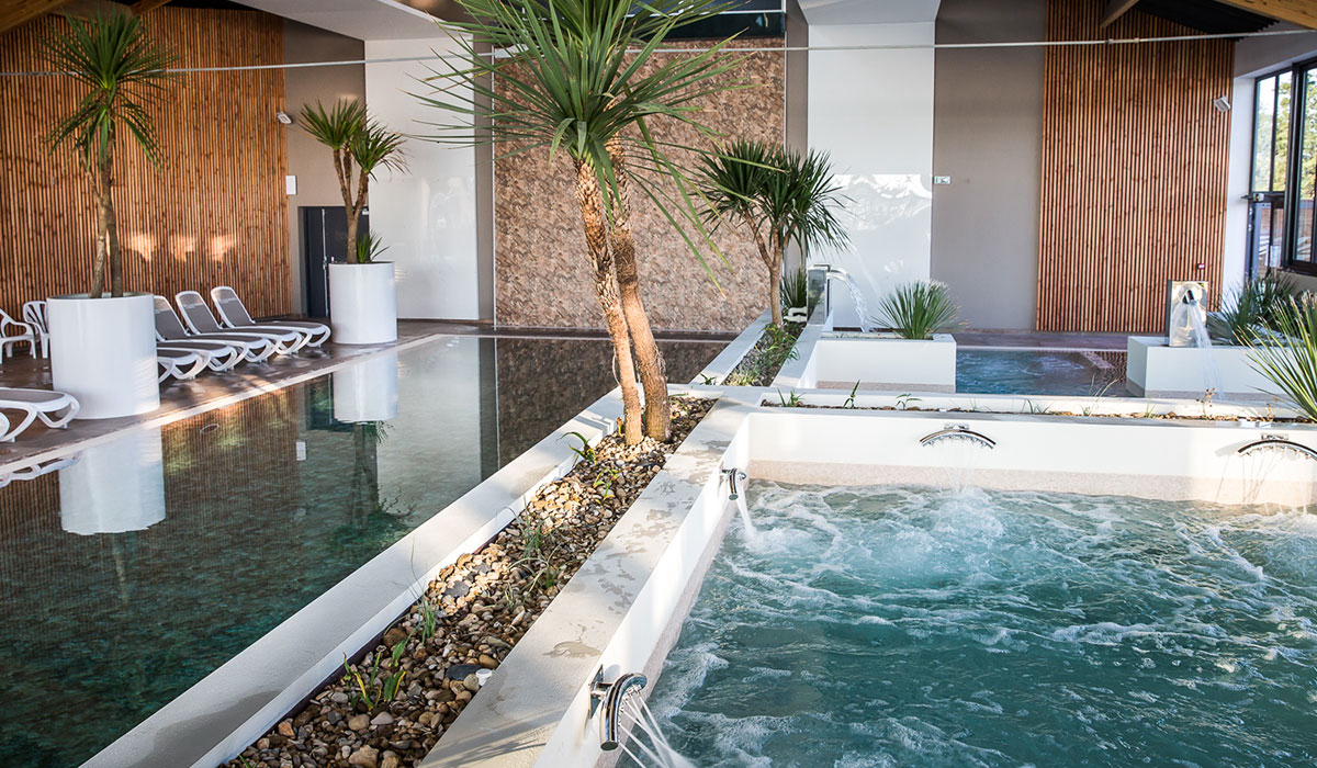 Le Pin Parasol Das Loire-Gebiet - La Chapelle Hermier visuel 7/33 Le Pin Parasol Das Loire-Gebiet - La Chapelle Hermier visuel 7/33