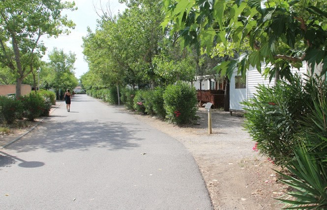 Le Pissevaches Languedoc-Roussillon - Fleury visuel 1/1 Le Pissevaches Languedoc-Roussillon - Fleury visuel 1/1