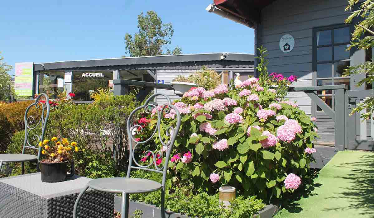 Le Préjoly Nord-Pas de Calais - Hondschoote visuel 3/4 Le Préjoly Nord-Pas de Calais - Hondschoote visuel 3/4