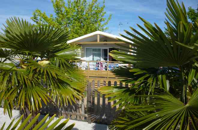 Le Pô Doré Das Loire-Gebiet - Allonnes visuel 4/8 Le Pô Doré Das Loire-Gebiet - Allonnes visuel 4/8