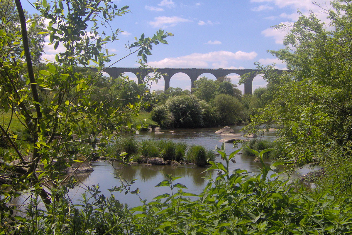 Le Rouge Gorge Das Loire-Gebiet - Saint-Laurent-sur-Sèvre visuel 5/11 Le Rouge Gorge Das Loire-Gebiet - Saint-Laurent-sur-Sèvre visuel 5/11