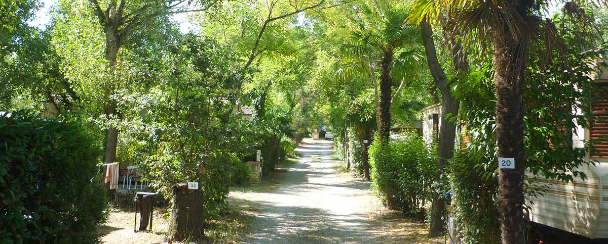 Le Saint Martin Languedoc-Roussillon - Céret visuel 2/3 Le Saint Martin Languedoc-Roussillon - Céret visuel 2/3