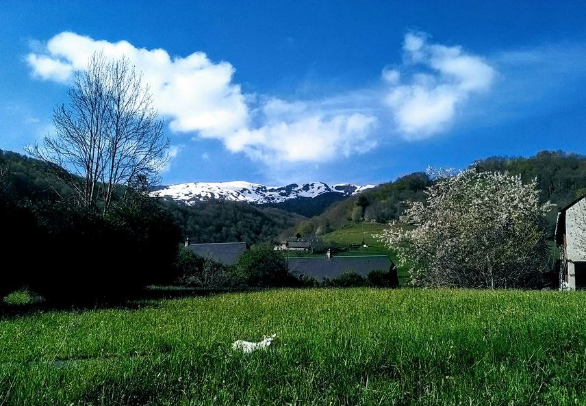 Le Saint Roch Midi-Pyrénées - Campan visuel 1/1
